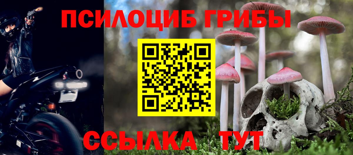 Галлюциногенные грибы GOLDEN TEACHER Изобильный